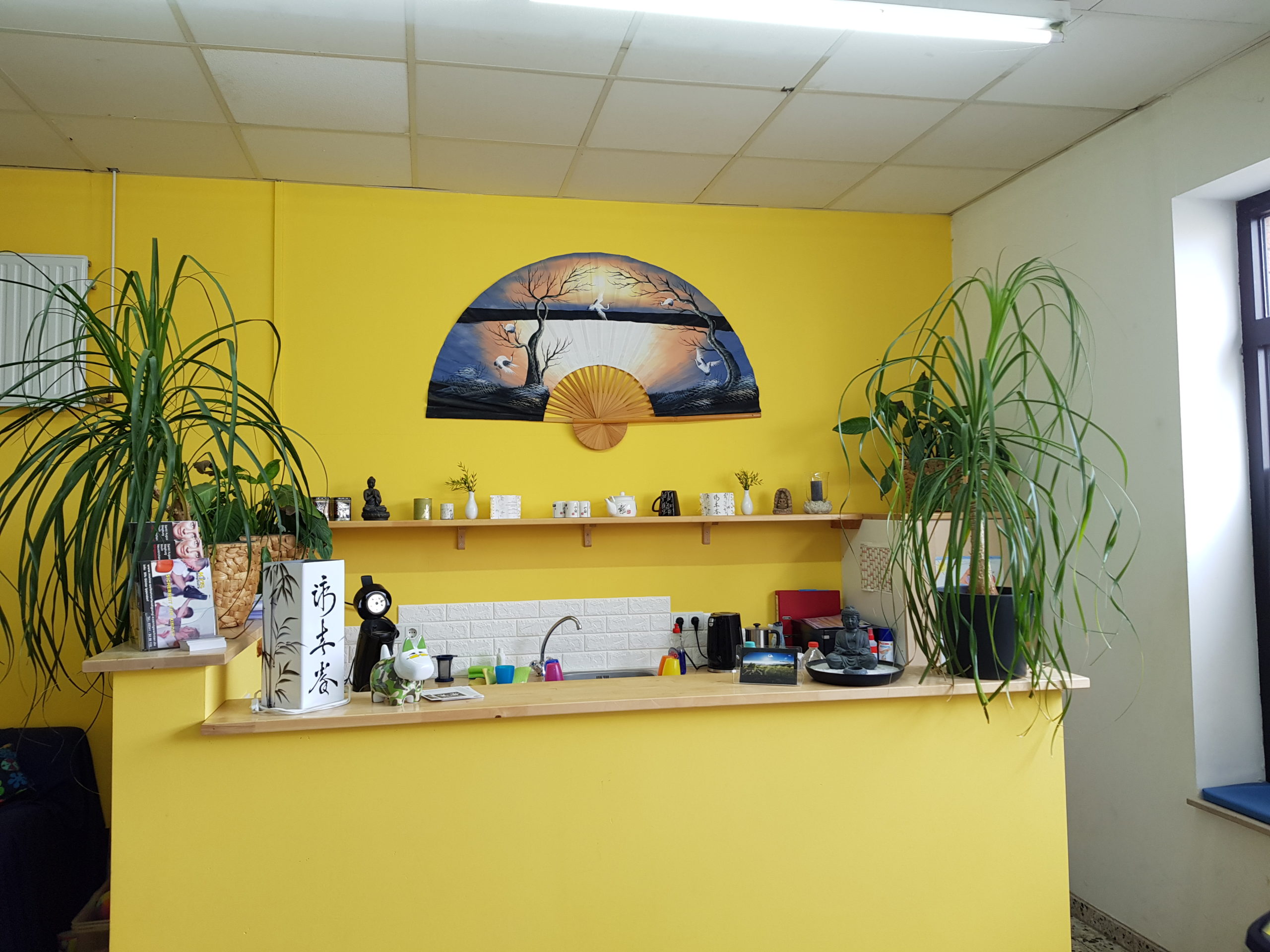 Schulbilder_03-2019__6_