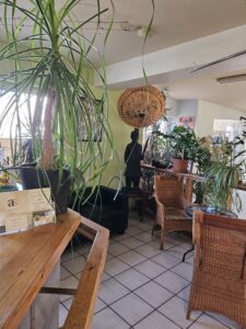 St Augustin Bilder (3)