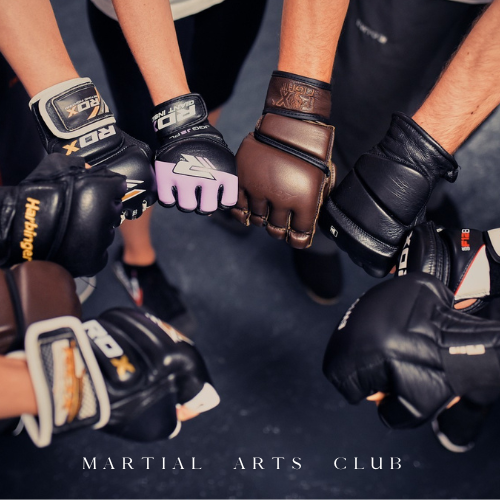 Erwachsene Sport Kampfkunst und Selbstverteidigung